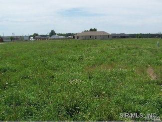 652 Hailie St, Saint Libory, IL 62282