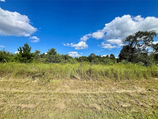 53 Road 5263, Cleveland, TX 77327