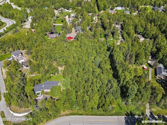 000 Wildien Dr, Anchorage, AK 99516