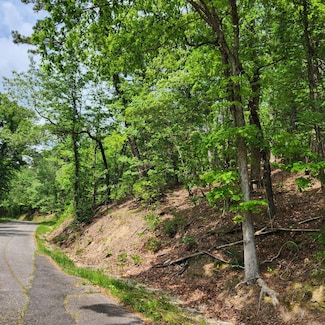 0 Union, Hot Springs, AR 71901