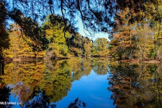 636 Livingston Vernon Rd, Flora, MS 39071