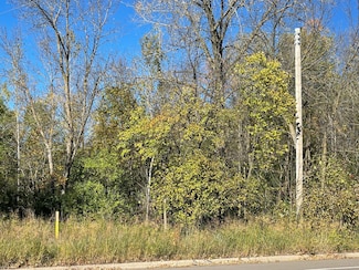 580 1st St, Milaca, MN 56353