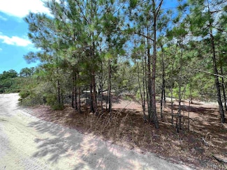 2312 Swan Island Rd Unit Lot7, Carova Beach, NC 27927