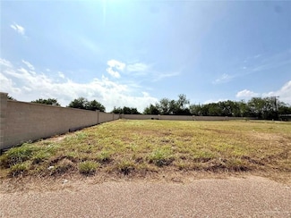 0000 Falcon St, Rio Grande City, TX 78582