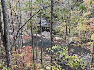 1130 County Road 376, Pisgah, AL 35765