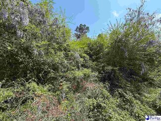 0 Atlantic Rd, Hemingway, SC 29554