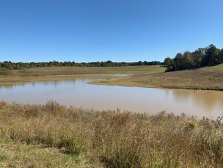 100 Castle Chapel Rd, Yazoo City, MS 39194
