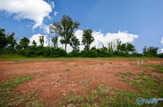 158 Knockash Hill, Madison, AL 35756