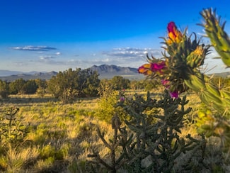 90 Vista La Madera, La Madera, NM 87047