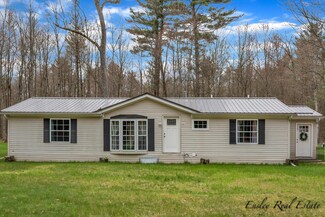 6511 S Pine Ave, Newaygo, MI 49337