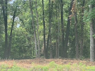 232 Nixon Rd, Millbrook, AL 36022