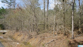 551 Grayton Rd S, Ohatchee, AL 36206