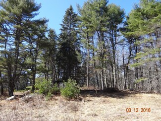57 Durgin Rd, Chichester, NH 03258