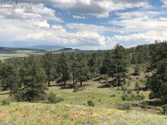0 Ouray Rd, Hartsel, CO 80449