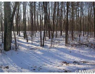 33XX Harmon Lake Rd, Sarona, WI 54870