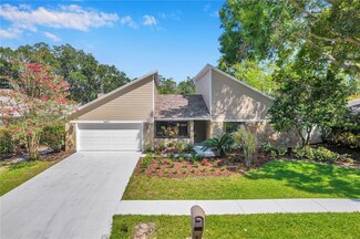 14207 Ashburn Place, Tampa, FL 33624