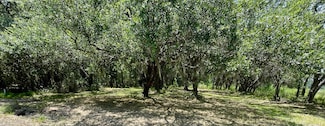 15 A Beagle Club Rd, Meggett, SC 29449