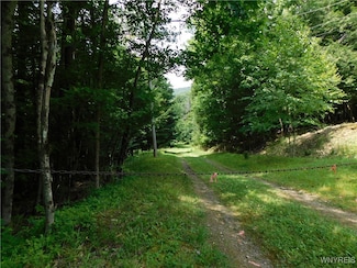 0 Thumb Rd, Genesee, NY 14715