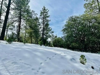 Lot 8 Saunders Meadow Rd Unit 8, Idyllwild-Pine Cove, CA 92549