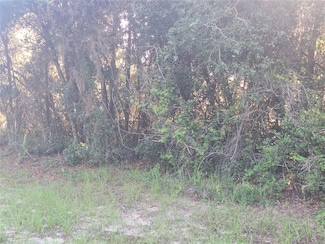 93 S Courtland Blvd, Deltona, FL 32738