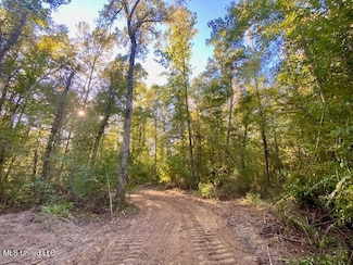 0 Quinlivan Rd, Magnolia, MS 39652