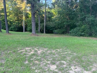 0 Fairway Dr Unit 4099336, Natchez, MS 39120