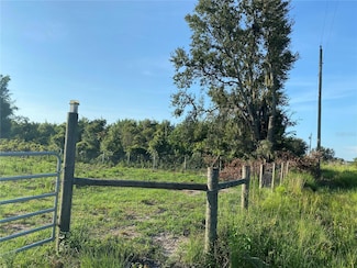 5187 Greenfields Run, Zolfo Springs, FL 33890