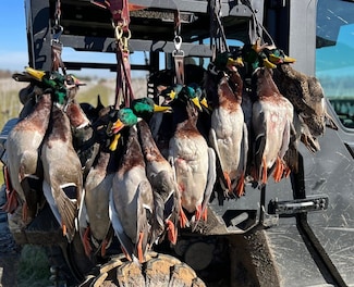 La-908, Monterey, LA 71354