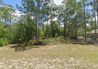 9771 N Mitchelle Dr, Citrus Springs, FL 34434