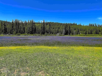 90 Ridgeview Rd, Donnelly, ID 83615