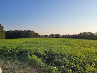 0 State Highway Dd (85 69+ - Acres Unit Tract E, Bellflower, MO 63333