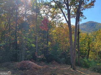 Lot 74 Mine Cart Trail, Blairsville, GA 30512