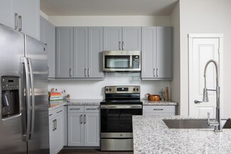 1148 Silber Rd Unit 2306, Houston, TX 77055