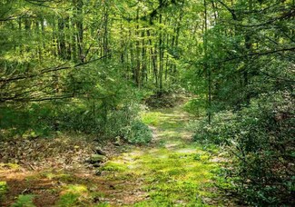 TBD Schroon Hill Rd, Kerhonkson, NY 12446