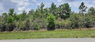 111 Park Ave, Lake Wales, FL 33855