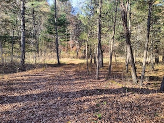 19167 Little Dry River Rd, Fulks Run, VA 22830