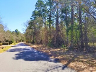 0 Corner of Dantzler St and Butler St Unit 150823, Saint Matthews, SC 29135