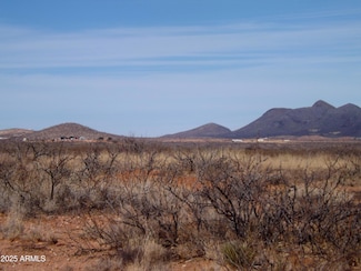 lot56 N Last Trail Unit 56, Elfrida, AZ 85610