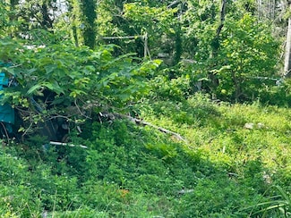 1107 Vaughn Ln, Steinhatchee, FL 32359