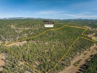TBD Wind Dance Ranch Rd, West Custer Township, SD 57730