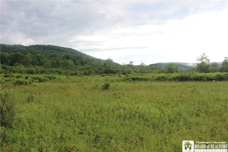 1514 Portville Obi Rd, Portville, NY 14770