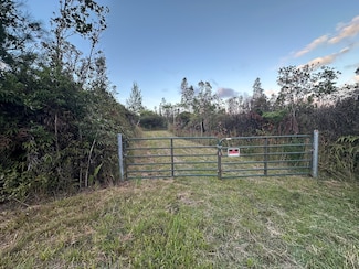 0 Road 2 (Ao) Unit 725029, Mountain View, HI 96771