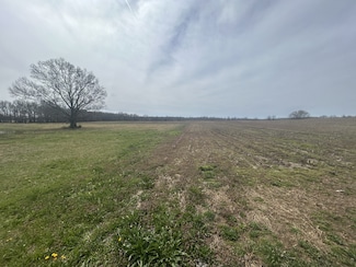 0 Vanntown Rd, Flintville, TN 37335