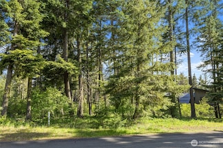 30 Elk Sedge Ct, Cle Elum, WA 98922