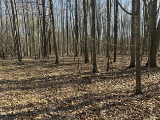 6060 Deerfield Rd, Canadian Lakes, MI 49346