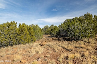 7 County Road 8111 -- Unit 673, Concho, AZ 85924