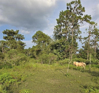 2301 NW 395th Ct, Okeechobee, FL 34972