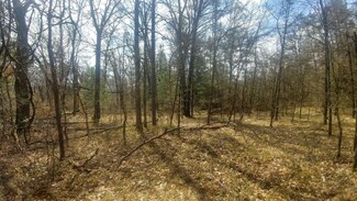 Par. 3 W Idlewild Pine Cir, Pleasant Plains Township, MI 49304