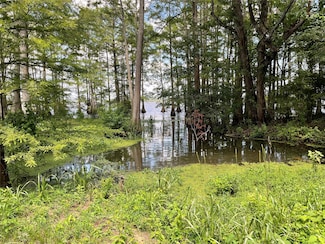 8451 Haphazard Rd, Mooringsport, LA 71060