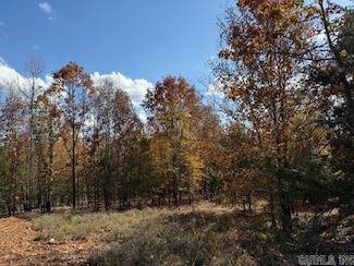 24 Summer Tyme Dr, Greenbrier, AR 72058